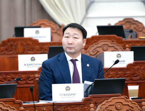 ХҮН: Ерөнхийлөгч хуулийн төслөө буцааж тат